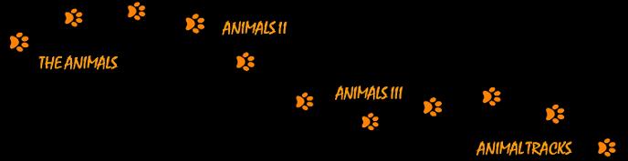 The Animals II III Animal Tracks